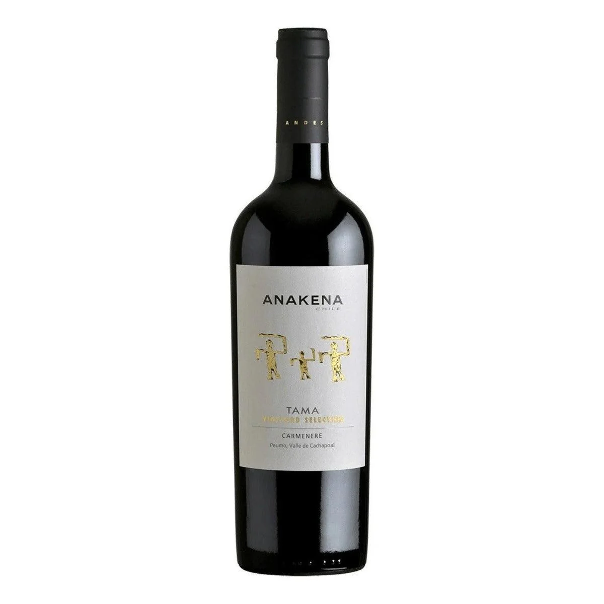 Vino Tinto Anakena Tama Carmenere 750ml