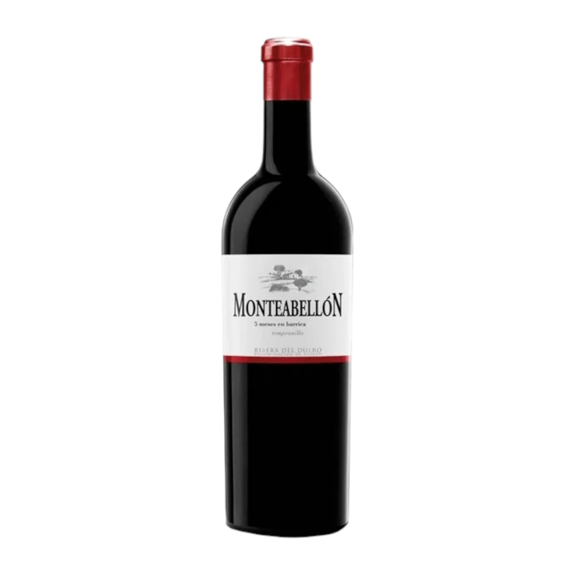 Vino Tinto Monteabellon Tempranillo 750ml