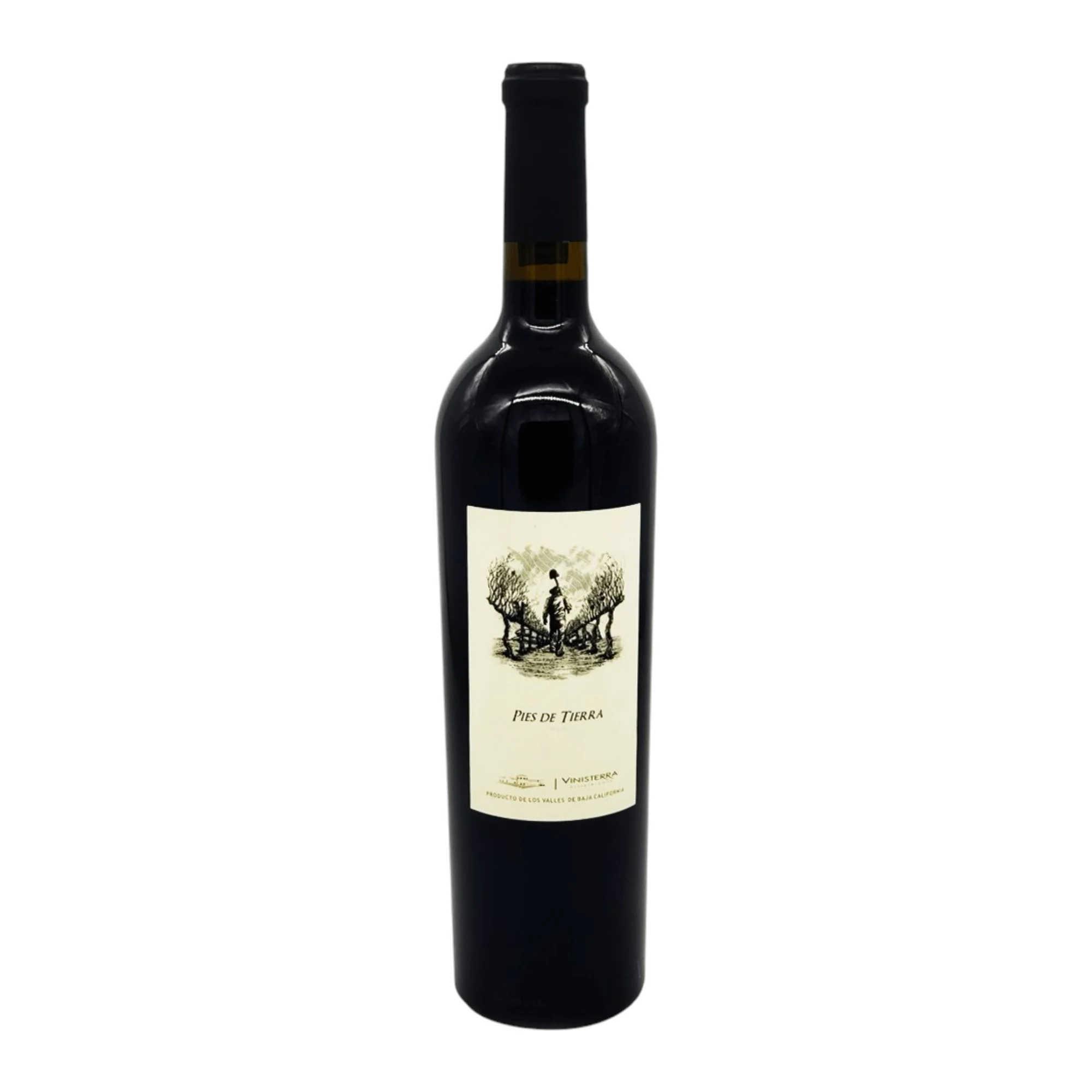 Vino Tinto Pies De Tierra 750ml