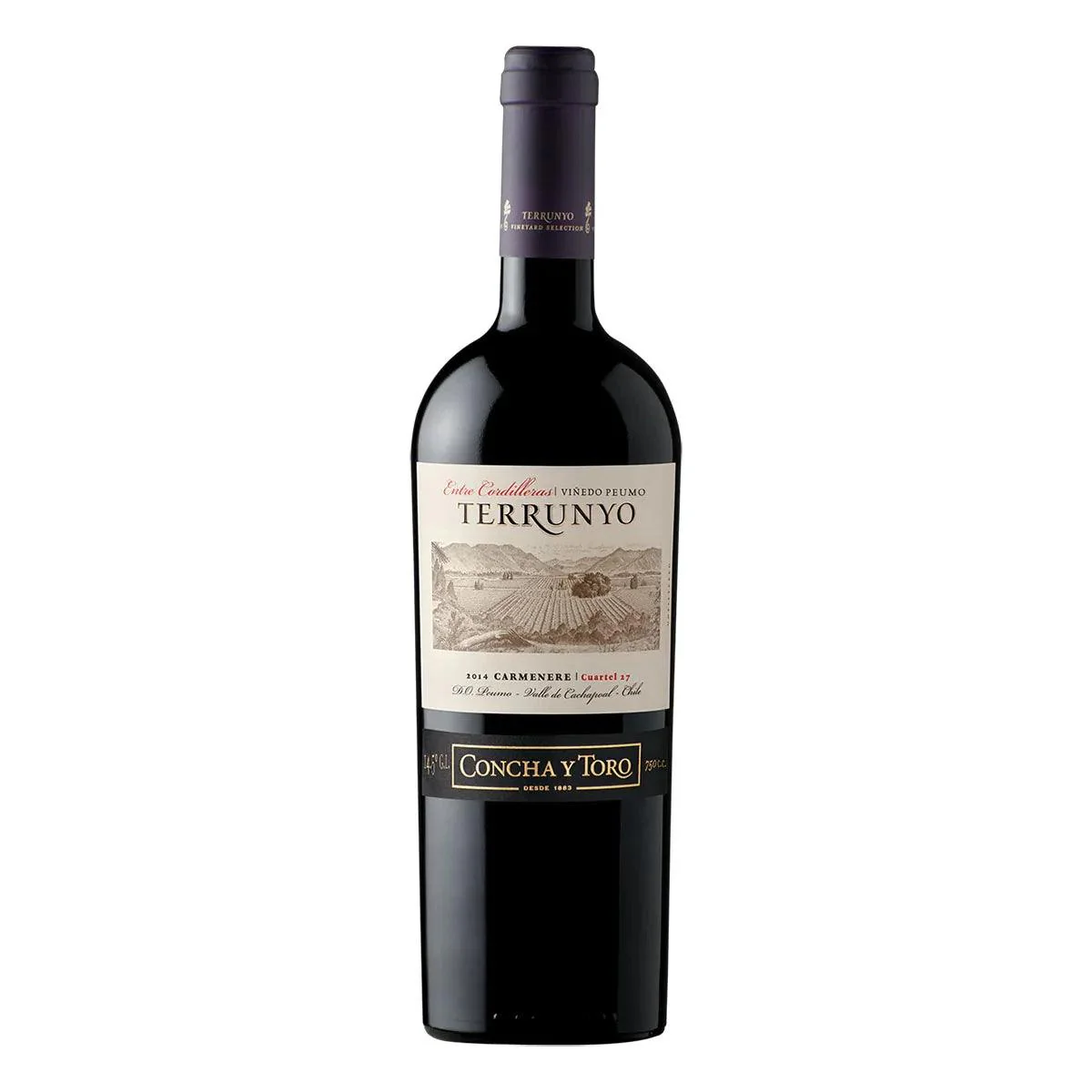 Vino Tinto Terrunyo Carmenere 750ml